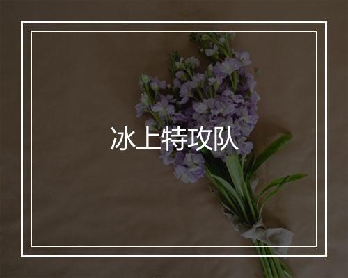 冰上特攻队