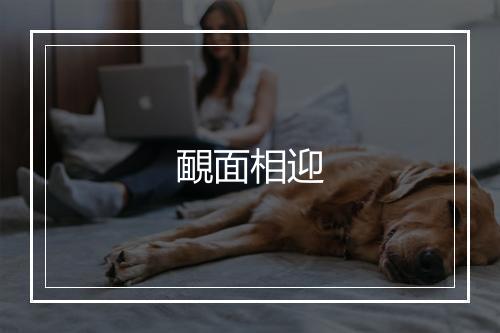 靦面相迎