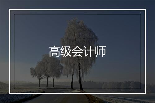 高级会计师