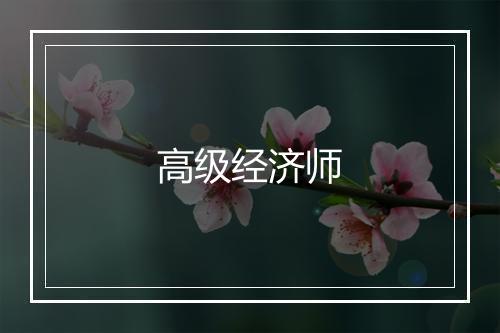 高级经济师