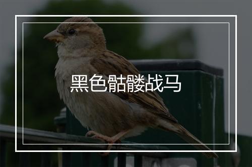 黑色骷髅战马