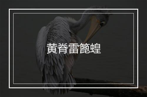 黄脊雷篦蝗