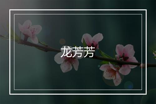 龙芳芳