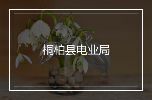 桐柏县电业局