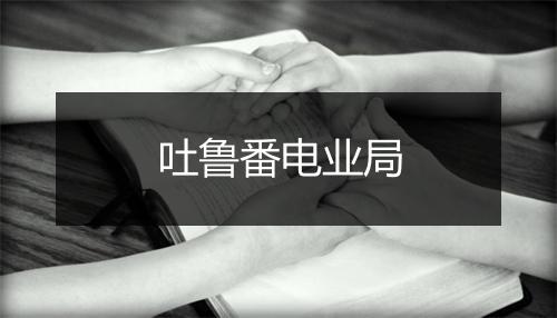 吐鲁番电业局