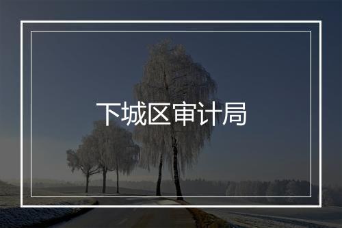 下城区审计局