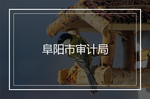 阜阳市审计局