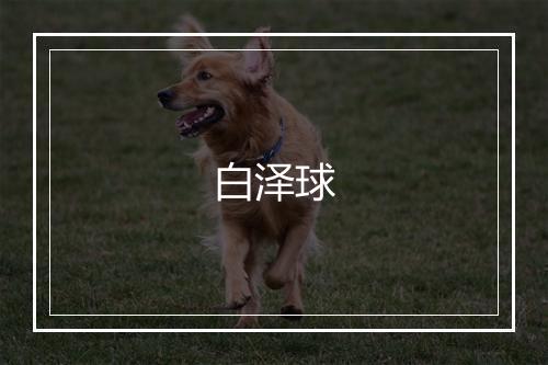 白泽球