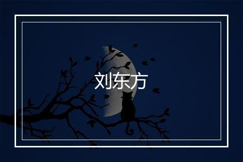 刘东方