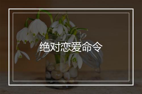 绝对恋爱命令