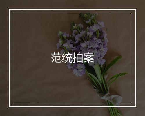 范统拍案