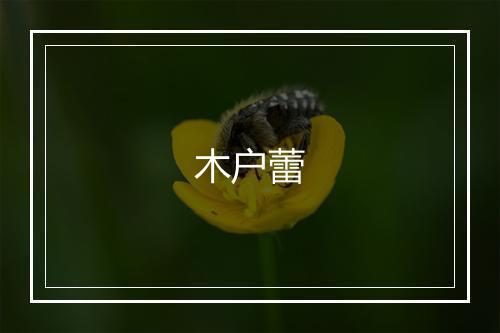 木户蕾