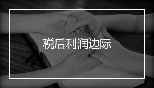 税后利润边际