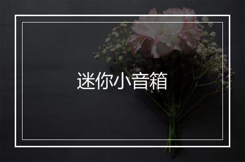 迷你小音箱