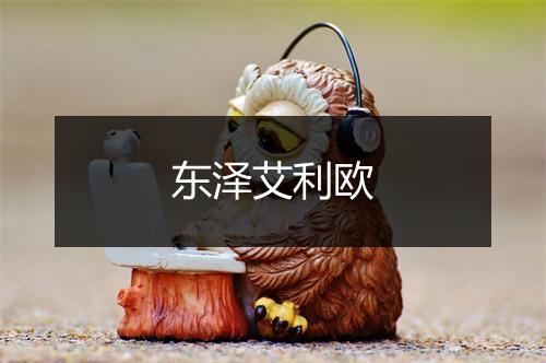 东泽艾利欧