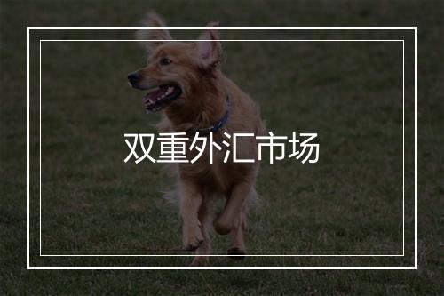 双重外汇市场