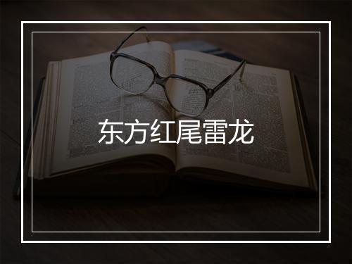 东方红尾雷龙