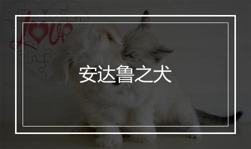 安达鲁之犬