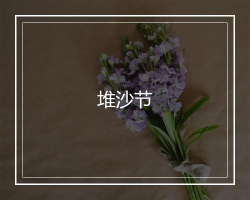 堆沙节