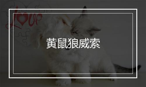 黄鼠狼威索