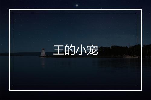 王的小宠