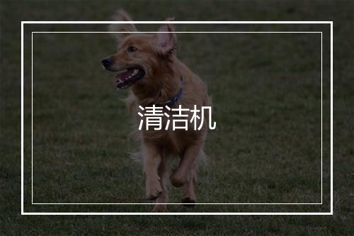 清洁机