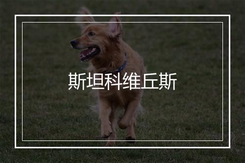 斯坦科维丘斯