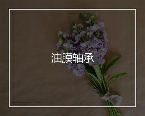 油膜轴承