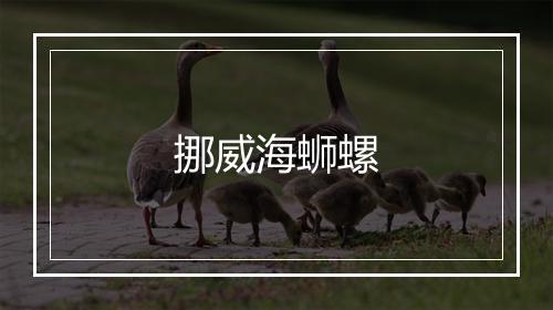 挪威海蛳螺