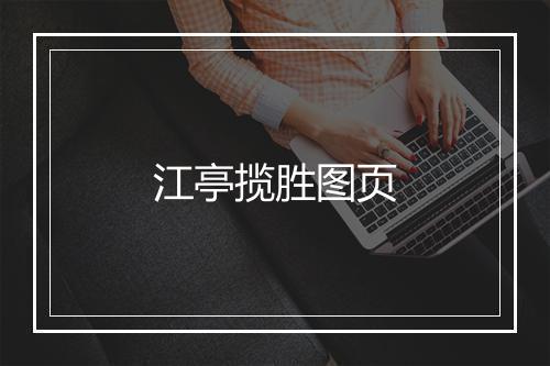 江亭揽胜图页