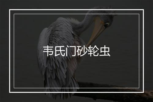 韦氏门砂轮虫