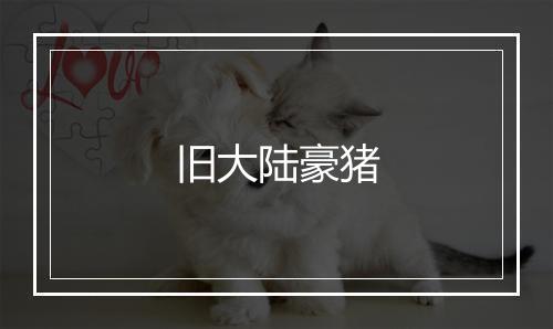 旧大陆豪猪