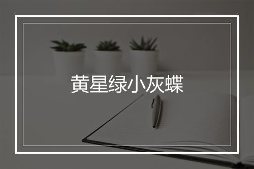 黄星绿小灰蝶