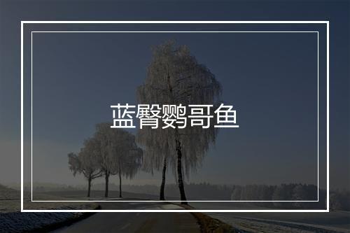 蓝臀鹦哥鱼