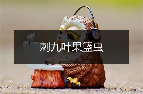 刺九叶果篮虫