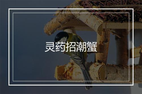 灵药招潮蟹