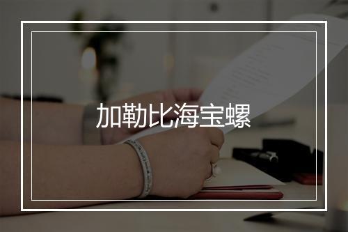 加勒比海宝螺