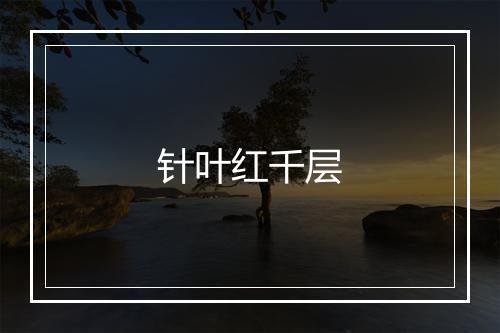 针叶红千层