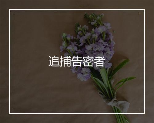 追捕告密者