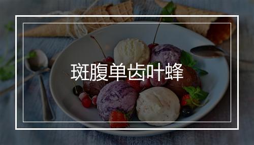 斑腹单齿叶蜂