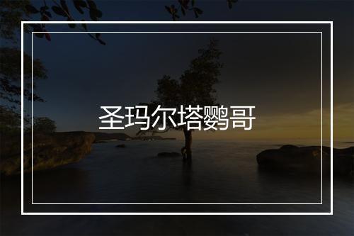 圣玛尔塔鹦哥