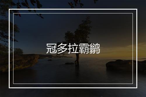 冠多拉霸鹟