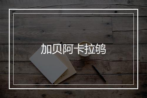 加贝阿卡拉鸲