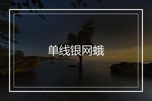 单线银网蛾