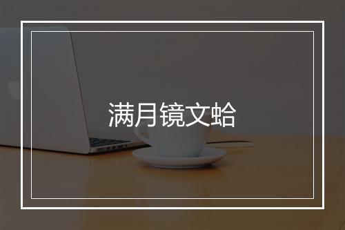 满月镜文蛤