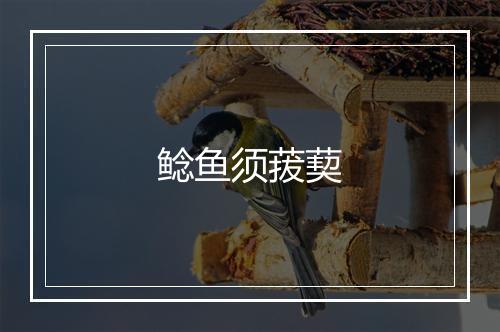 鲶鱼须菝葜