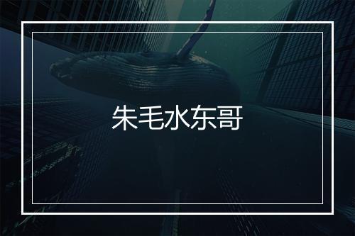 朱毛水东哥