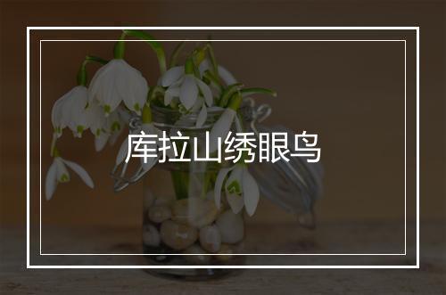 库拉山绣眼鸟