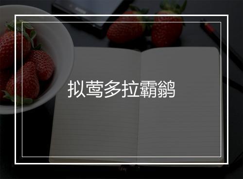 拟莺多拉霸鹟