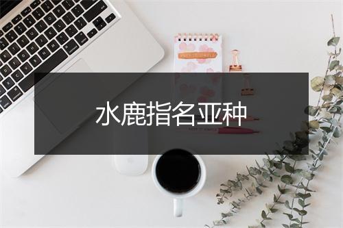 水鹿指名亚种